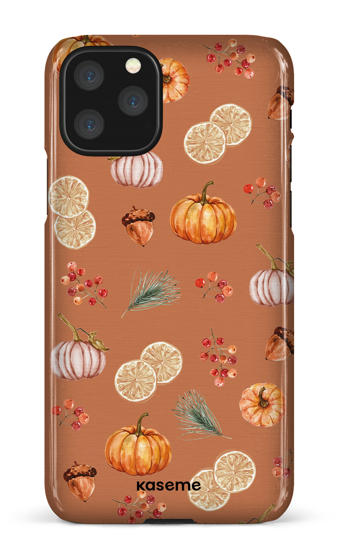 Pumpkin Garden Orange - iPhone 11 Pro